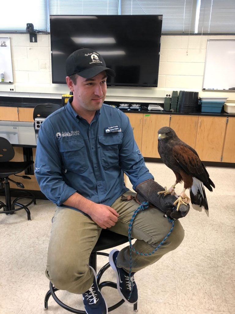 Man holding a hawk